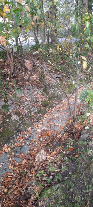 So sieht der Bärbach im Bereich des So sieht der Bärbach in Höhe desKampenwandparkplatzes aus, eenn man zoomt sieht man im Hintergrund den Maschendrahtzaun