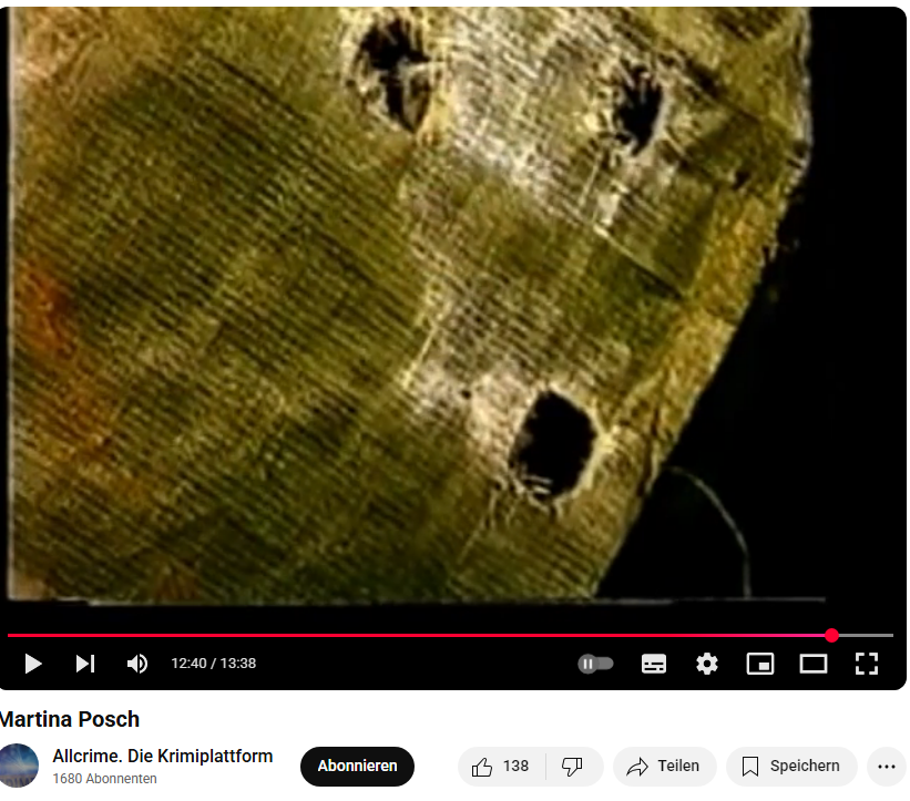martinaposch_plane_02_loecher.png